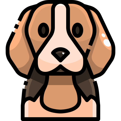 Pet-friendly regular house cleaning in Canberra