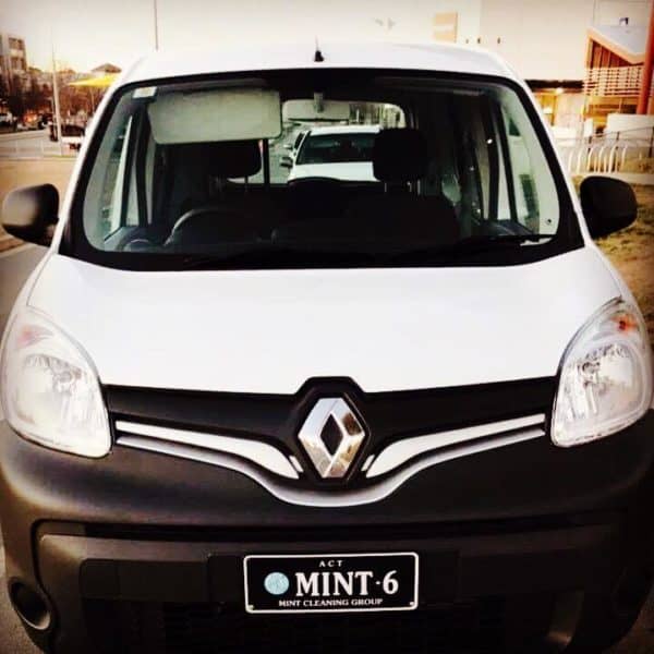 mint cleaning