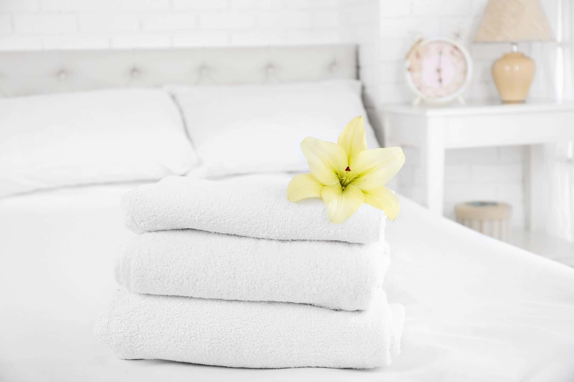 Apartment & Airbnb Cleaning