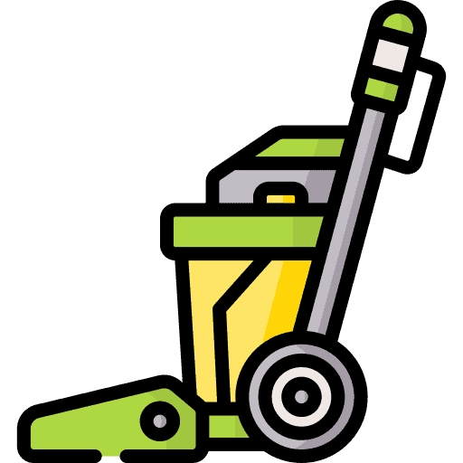 Carpet Cleaning