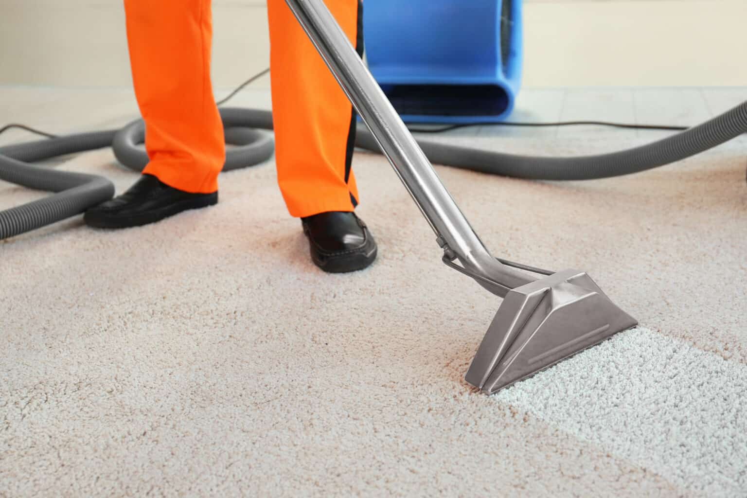 Carpet Dry Cleaning