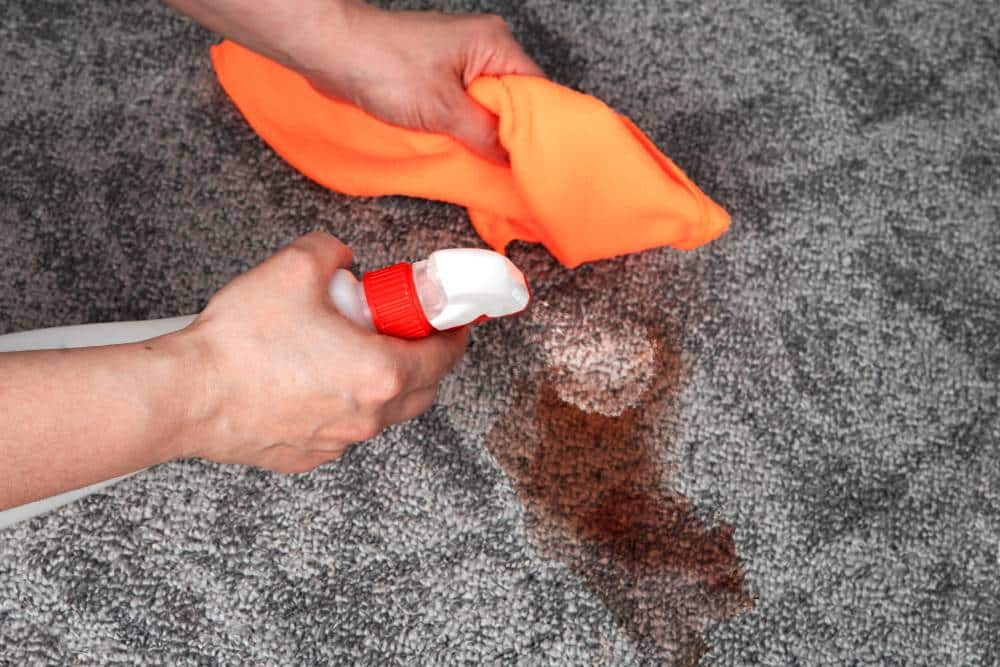 Remove Stains from a rug