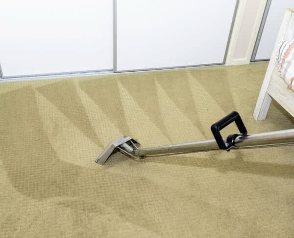 Carpet steam cleaning home