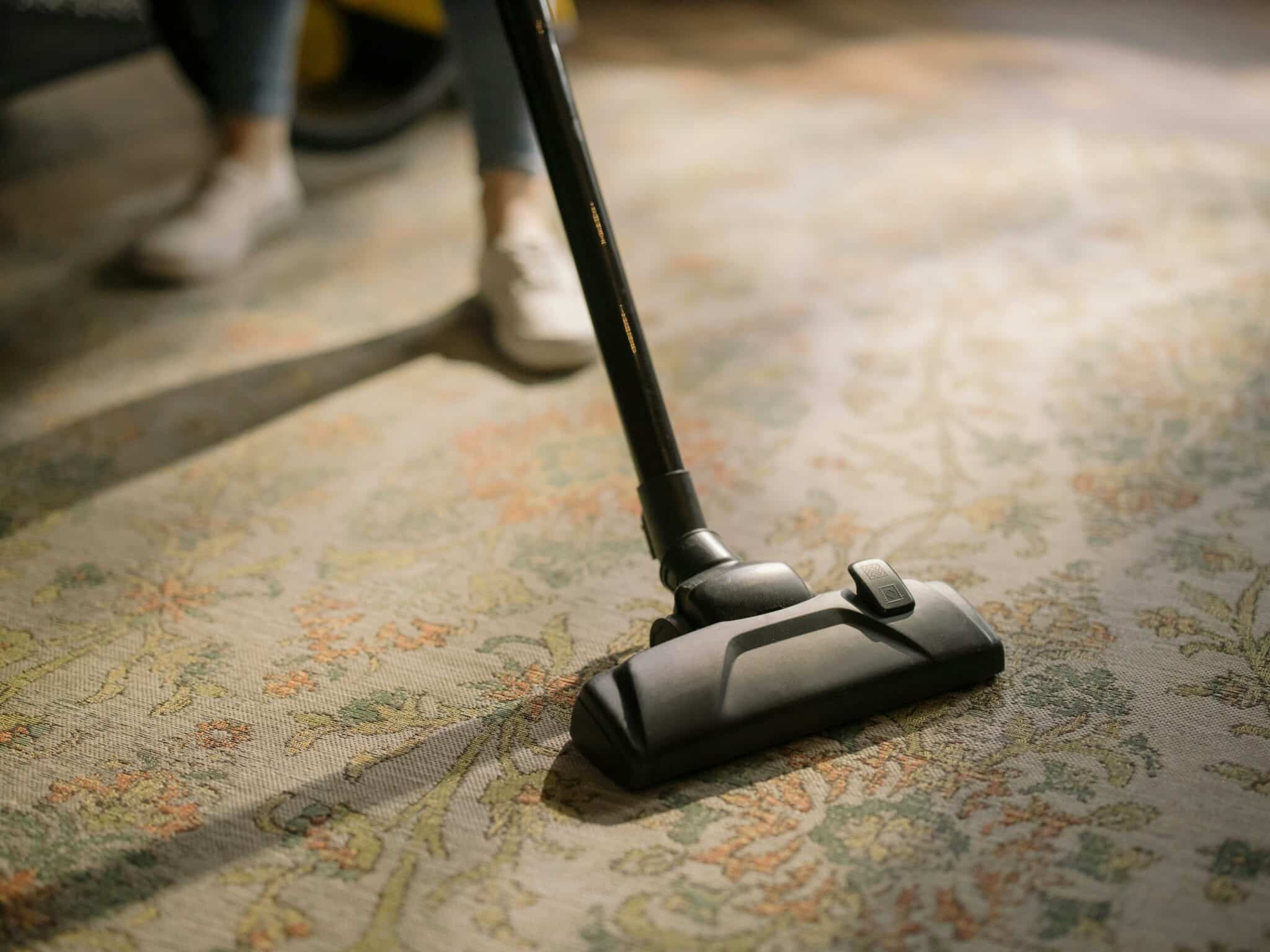 Forest Carpet Cleaning