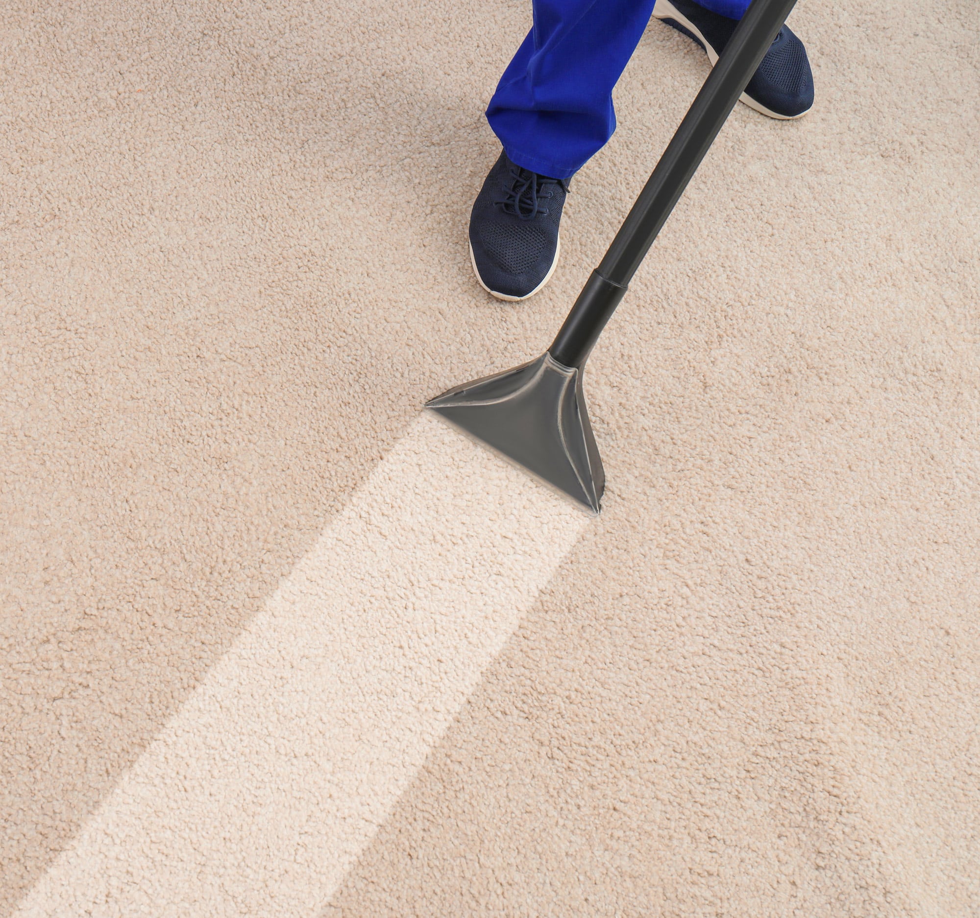 Professional Vacuuming Before and After