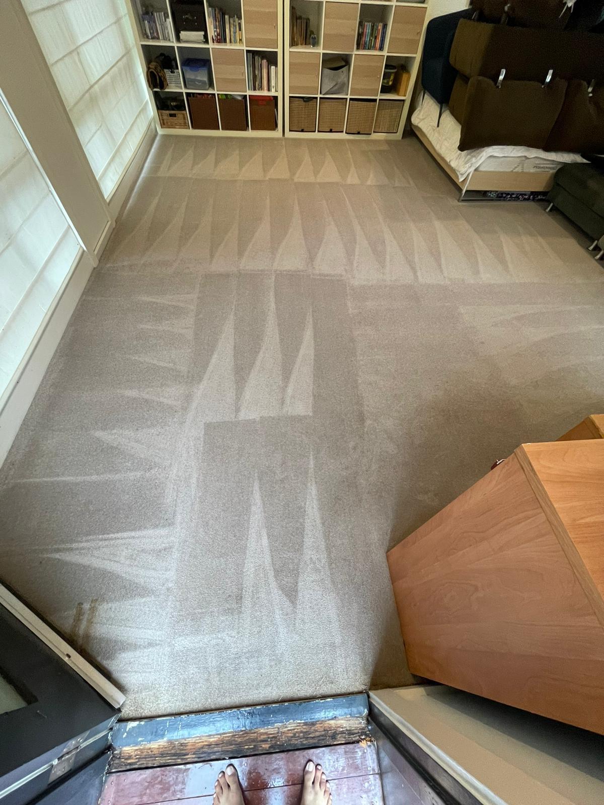 Clean carpeted area in a Canberra commercial property