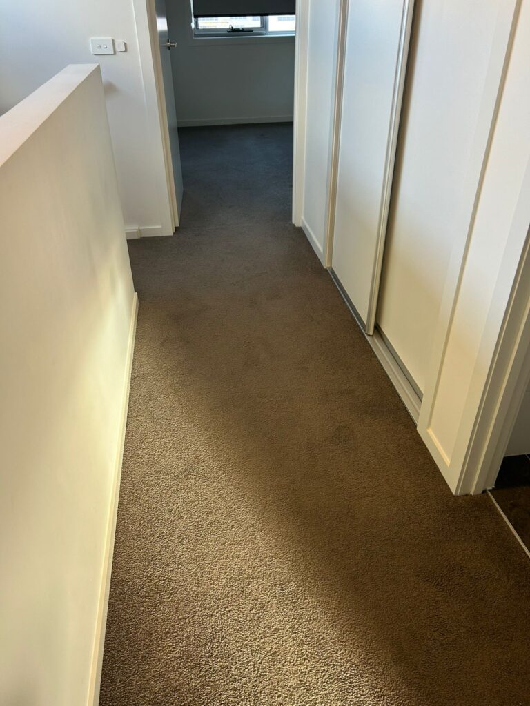 Polished floor after professional cleaning in Canberra