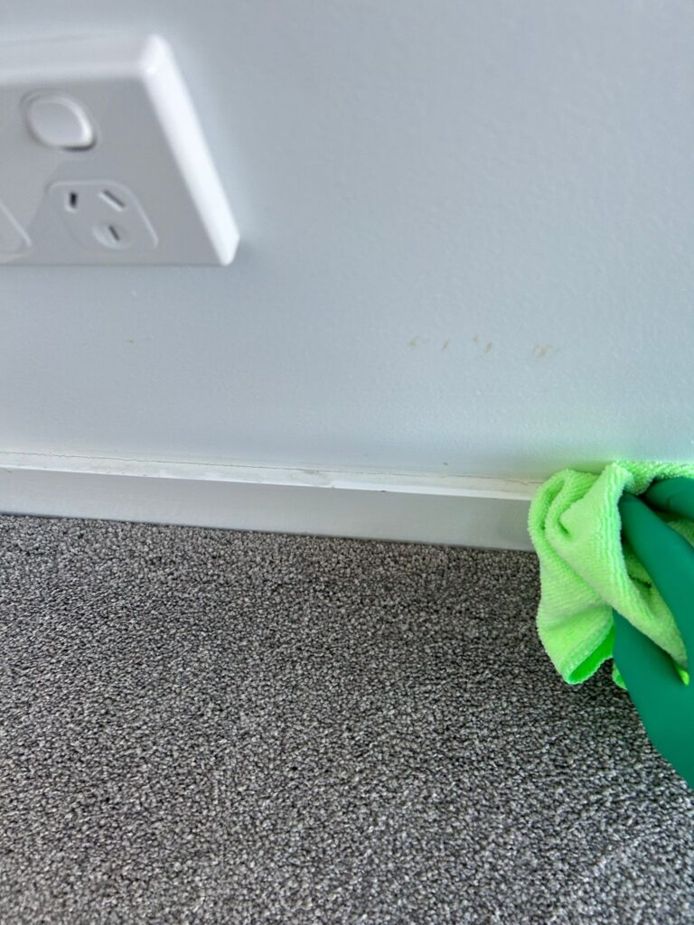 Cleaning wall edges and skirting boards during regular house cleaning
